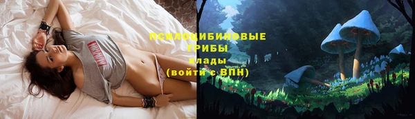 хмурый Беломорск
